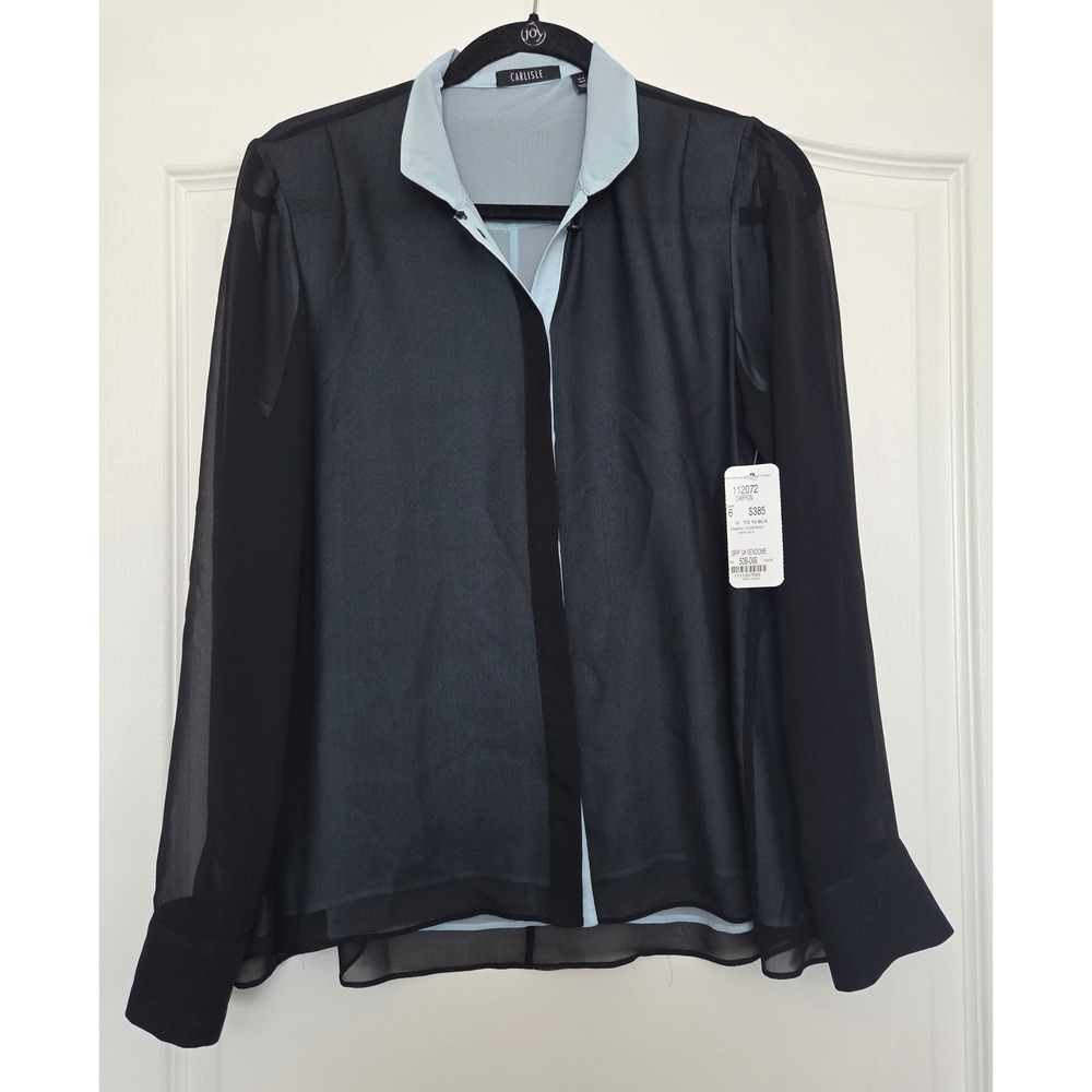 Carlisle Silk Chiffon Long‎ Sleeve Button-down Blouse Sz 6 Quiet Luxury Office